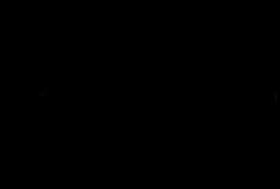 Logo Dimension Sport